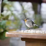 Spacious Cozy With Easy And Free Parking 公寓 Añorga-Lugariz