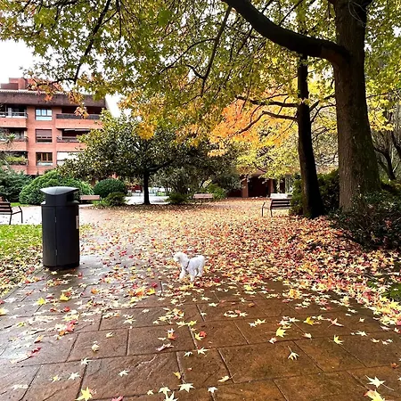 Spacious Cozy With Easy And Free Parking