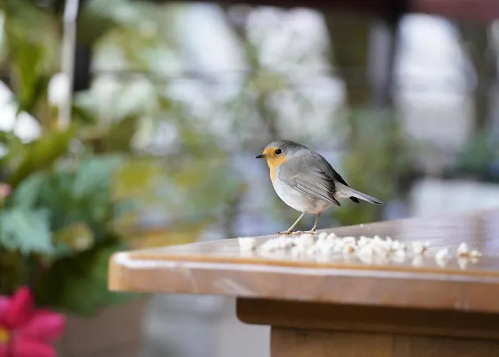 Spacious Cozy With Easy And Free Parking 公寓 Añorga-Lugariz