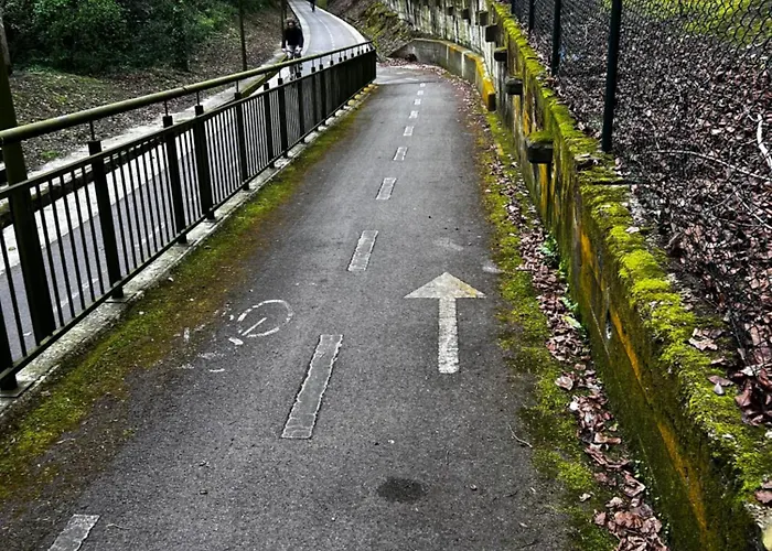 Spacious Cozy With Easy And Free Parking