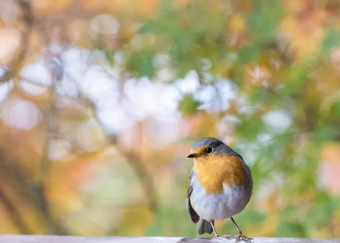 公寓 Spacious Cozy With Easy And Free Parking *