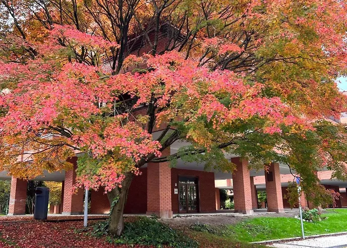 Spacious Cozy With Easy And Free Parking 公寓 Añorga-Lugariz