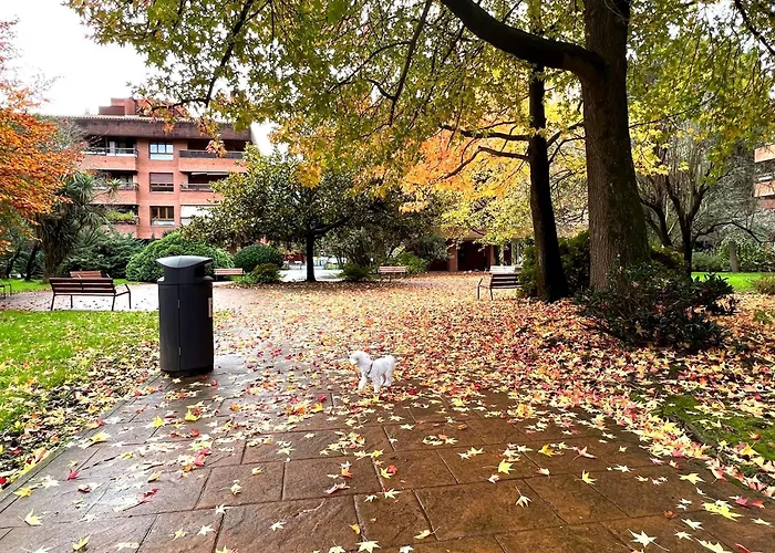 Spacious Cozy With Easy And Free Parking