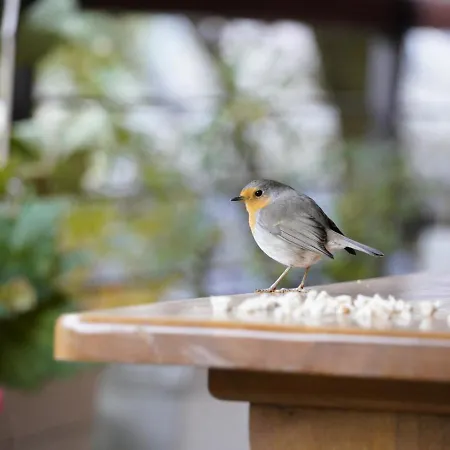 Spacious Cozy With Easy And Free Parking Apartment Anorga-Lugariz